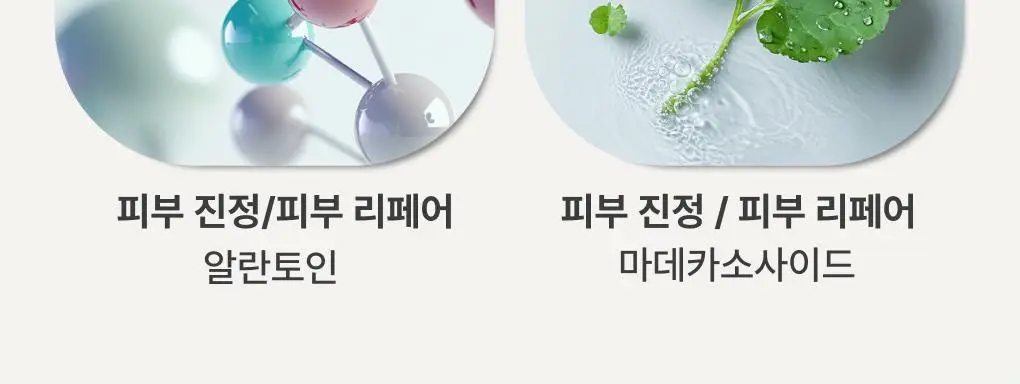 [1+1/화잘먹] 이니스프리 그린티 수분크림 50ml 더블기획 상세페이지 25